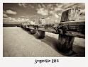 _DSC8149nbsepcad
