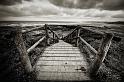 _DSC8244nbsepjm